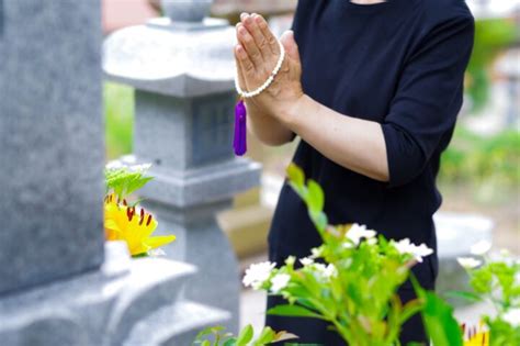 桃花 風水|桃花風水やお墓参りが最強の運気を呼ぶ？花で幸運をもたらす3。